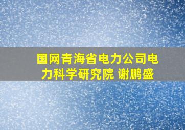 国网青海省电力公司电力科学研究院 谢鹏盛